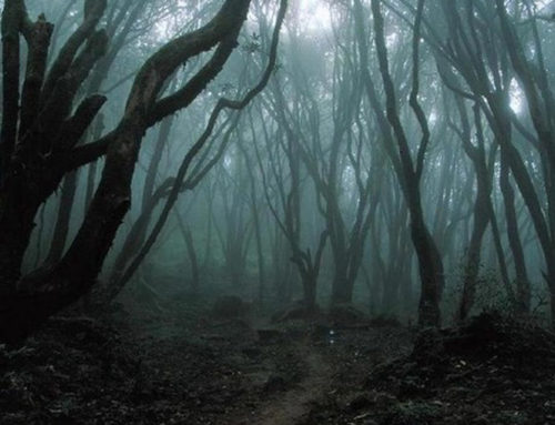 Nordic Noir – en populær genre